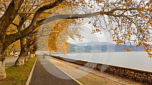 Autumn in Ioannina city Epirus Greece trees yellow leaves beside the lake