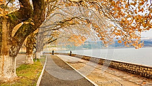 Autumn in Ioannina city Epirus Greece trees yellow leaves beside the lake