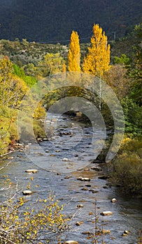 Autumn on the Irati river and Arce Valley, Navarra Pyrenees photo