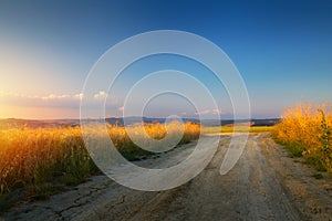 Autumn Italian rural landscape in retro style; Panorama of autumn field with dirt road and cloudy sky