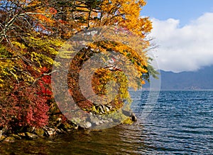 Autumn in Japan