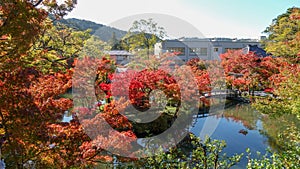 Autumn in Japan hunting for red leaves of maple tree Kioto