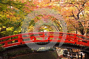 Autumn Japan Red wooden bridge Kyoto