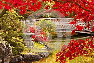 Autumn Japanese Garden