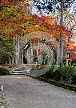 Autumn Japanese garden in Daigoji temple. Kyoto, Japan