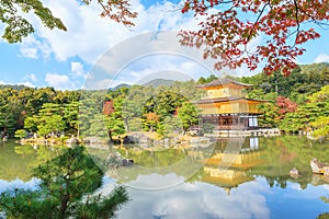 Autumn Japanese garden with maple in Golden pavillion Kinkakuji temple at Kyoto, Japan