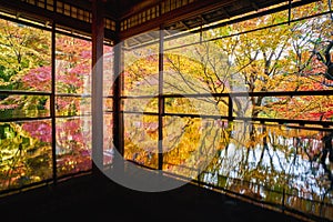 Autumn Japanese garden of Rurikoin temple Ruriko-in.