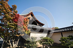 Autumn at Japanese temple