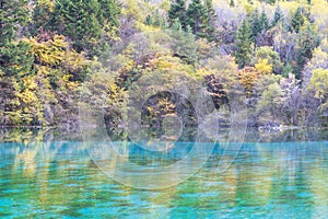 Autumn in jiuzhaigou, China