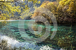 Autumn in Jiuzhaigou, China