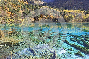 Autumn in Jiuzhaigou, China