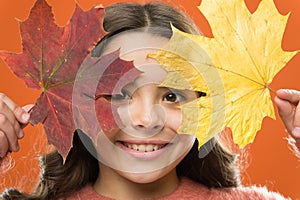 Autumn joy. autumn kid fashion. Weather change. girl child in sweater. Autumn mood. school time. childhood happiness