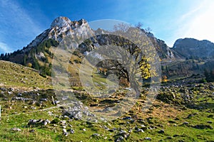 Autumn in Jura mountains