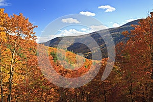 Autumn Kaaterskill Clove