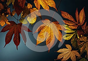 Autumn Kaleidoscope with colourful leaves