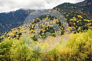 Autumn in Kamikochi, Japan