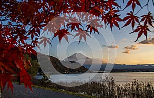 Autumn at Kawaguchiko lake