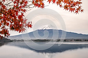 Autumn at Kawaguchiko with Mt. Fuji as background