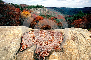 Autumn in Kentucky