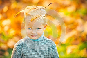 Autumn kid with Autumn Leaves on head. Yellow Autumn Background. Adorable toddler boy portrait on beautiful autumn day.