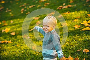 Autumn kid, cute child with fallen leaves in park. Fall leaves children concept, autumnal mood.