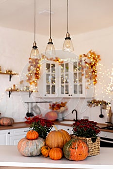 Autumn kitchen interior. Red and yellow leaves and flowers in the vase and pumpkin on light background