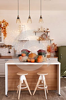 Autumn kitchen interior. Red and yellow leaves and flowers in the vase and pumpkin on light background