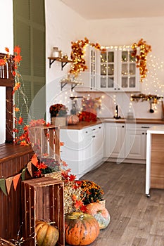 Autumn kitchen interior. Red and yellow leaves and flowers in the vase and pumpkin on light background