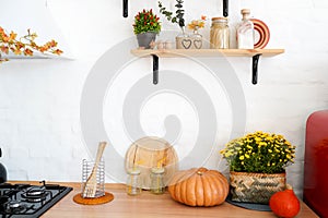 Autumn kitchen interior with shelfs, yellow flowers and pumpkin