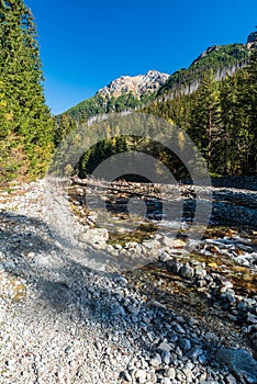 Autumn Koprova dolina valley in Tatra mountains in Slovakia