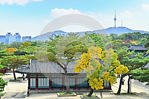 Autumn of Korean tradition architectural of Changgyeonggung Palace and modern building cityscpae modern office view background,