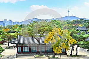 Autumn of Korean tradition architectural of Changgyeonggung Palace and modern building cityscpae modern office view background, photo
