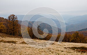 Autumn in Krasna range region of Carpathians Mountains