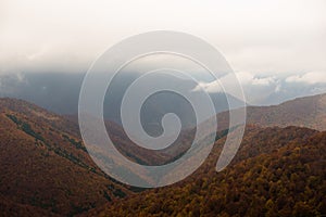 Autumn in Krasna range region of Carpathians Mountains