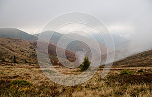 Autumn in Krasna range region of Carpathians Mountains