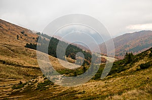 Autumn in Krasna range region of Carpathians Mountains