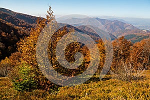 Autumn in Krasna range region of Carpathians Mountains