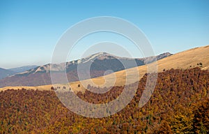 Autumn in Krasna range region of Carpathians Mountains