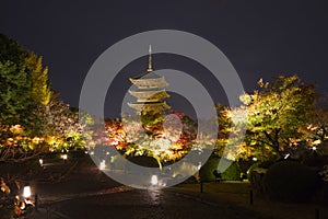 Autumn KYOTO JAPAN at Toji temple