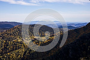 Autumn in La Fageda D En Jorda Forest, La Garrotxa, Spain