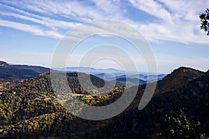 Autumn in La Fageda D En Jorda Forest, La Garrotxa, Spain