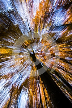 Autumn in La Fageda D En Jorda Forest, La Garrotxa, Spain