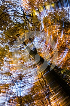 Autumn in La Fageda D En Jorda Forest, La Garrotxa, Spain