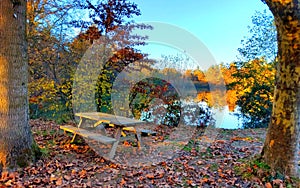 Autumn in La Mandria Park, Venaria Reale town, Italy. Nature, environment and tourism