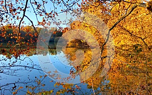 Autumn in La Mandria Park, Venaria Reale town, Italy. Nature, environment and tourism