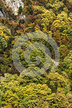 Autumn ladscape with forest around Krichim Reservoir, Rhodopes Mountain, Bulgaria