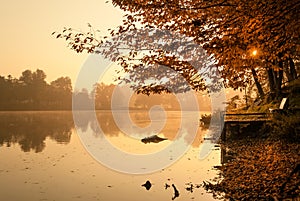 Autumn lake