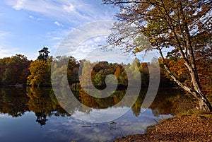 Autumn at the lake