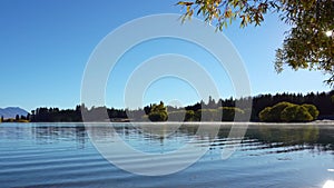 Autumn Lake Alexandrina in New Zealand and woods by shore, blue sky background