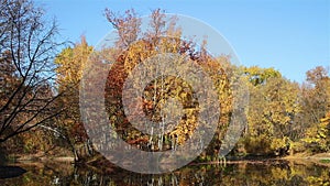 Autumn lake background in a park